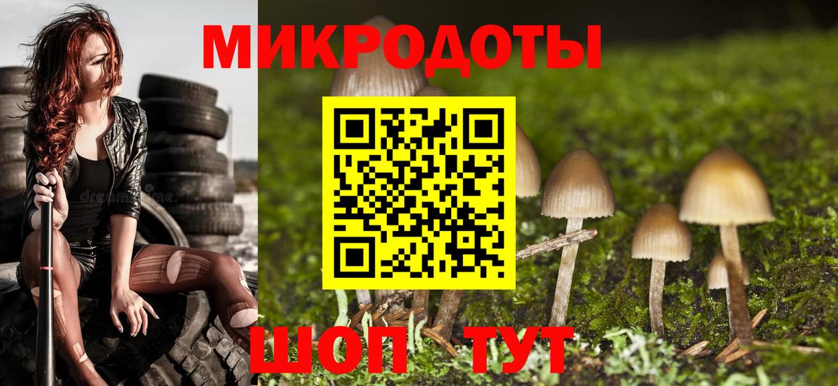 Ишим  Псилоцибиновые грибы мухоморы  Вход с VPN 